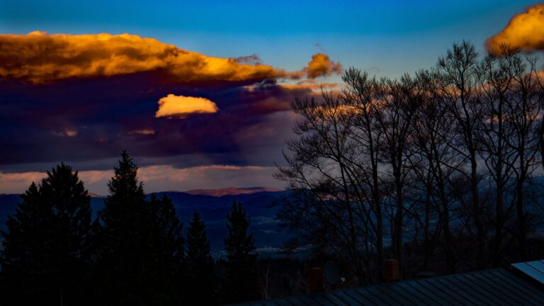IMG-20250727-WA0129